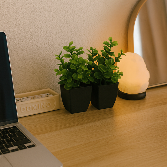 MINI DESK PLANT