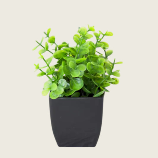 MINI DESK PLANT